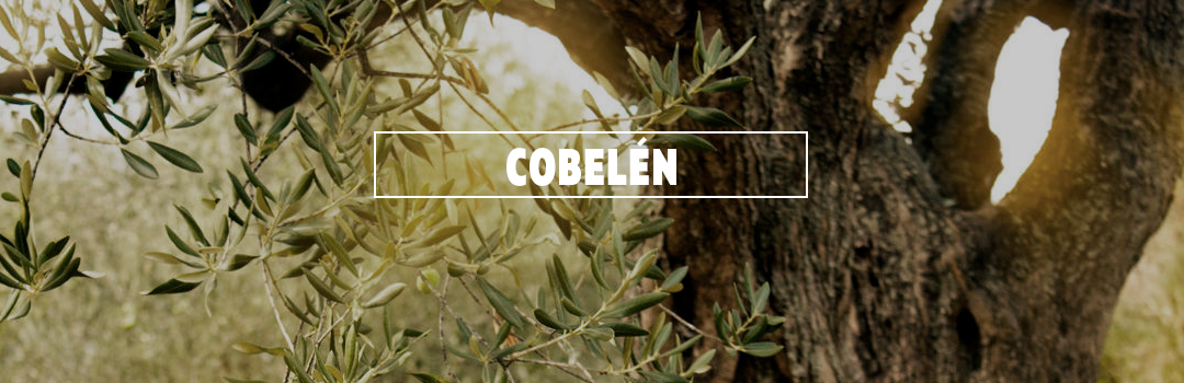 COBELÉN